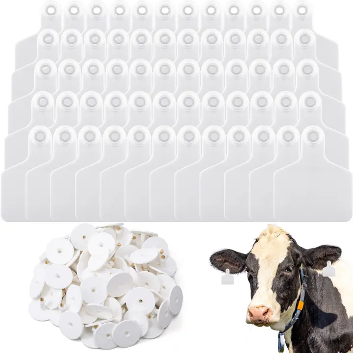 100-Pack Large Blank Plastic Livestock Ear Tags — White