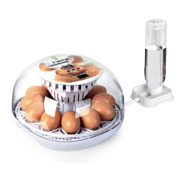 Series I 12-Egg Poultry Incubator — Beginner Hatcher with Auto Turn