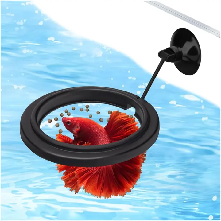 Small Floating Aquarium Feeding Ring with Suction Cup — 1 Pack