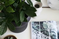 Resilient Houseplants: 10 Picks That Thrive Through Winter