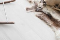 5 Tail Wagging UK Getaways for Dogs and Their Humans