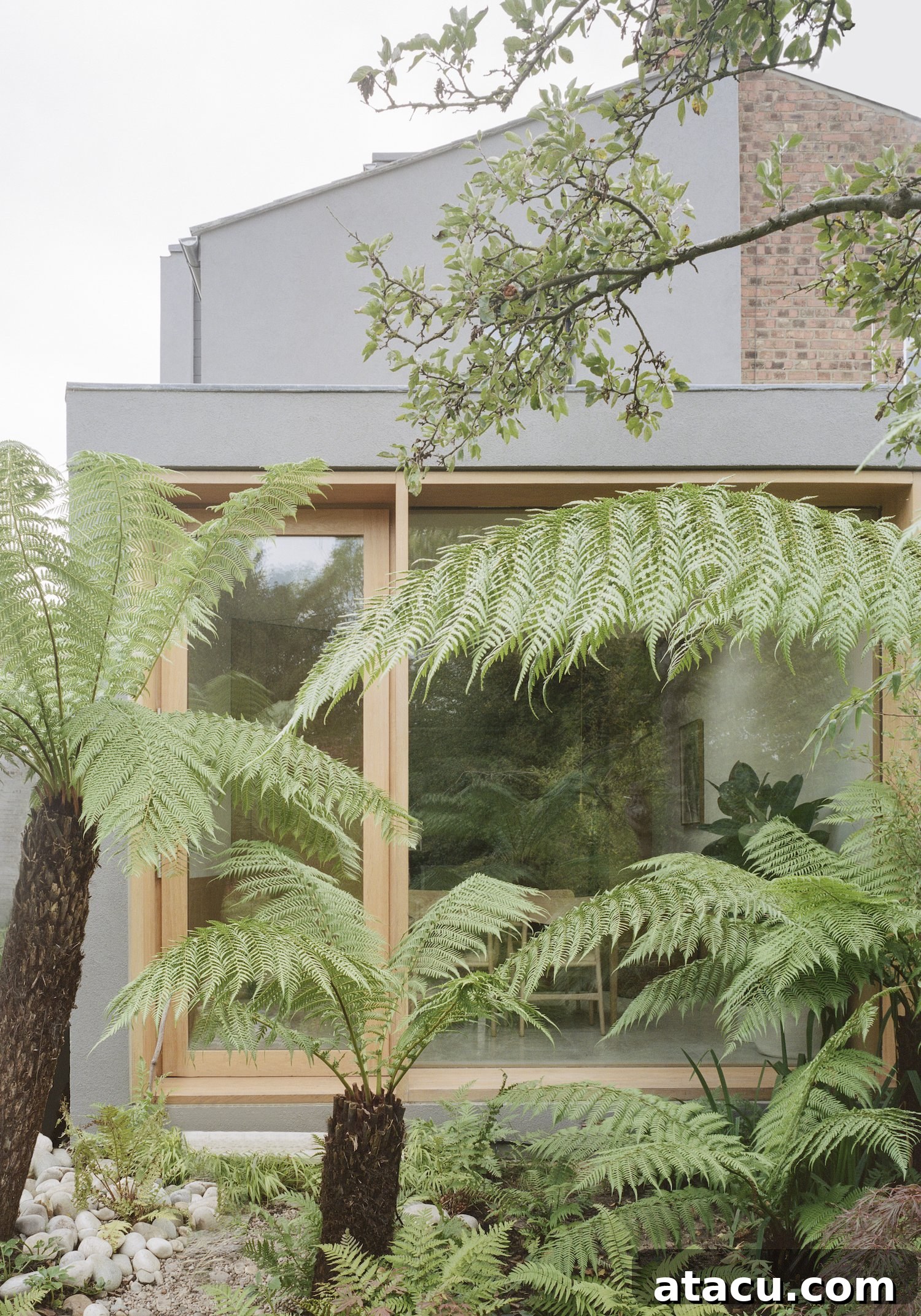 The exterior view of a terraced house showcasing a contemporary architectural extension seamlessly blending with the traditional structure, complemented by lush garden planting including large tree ferns.