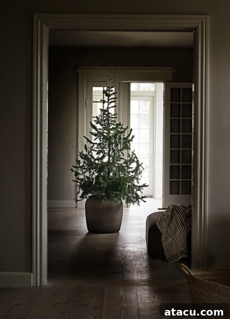 A warm and inviting view through a doorway, revealing a beautifully backlit Christmas tree at the center of the room, bathed in soft natural light.