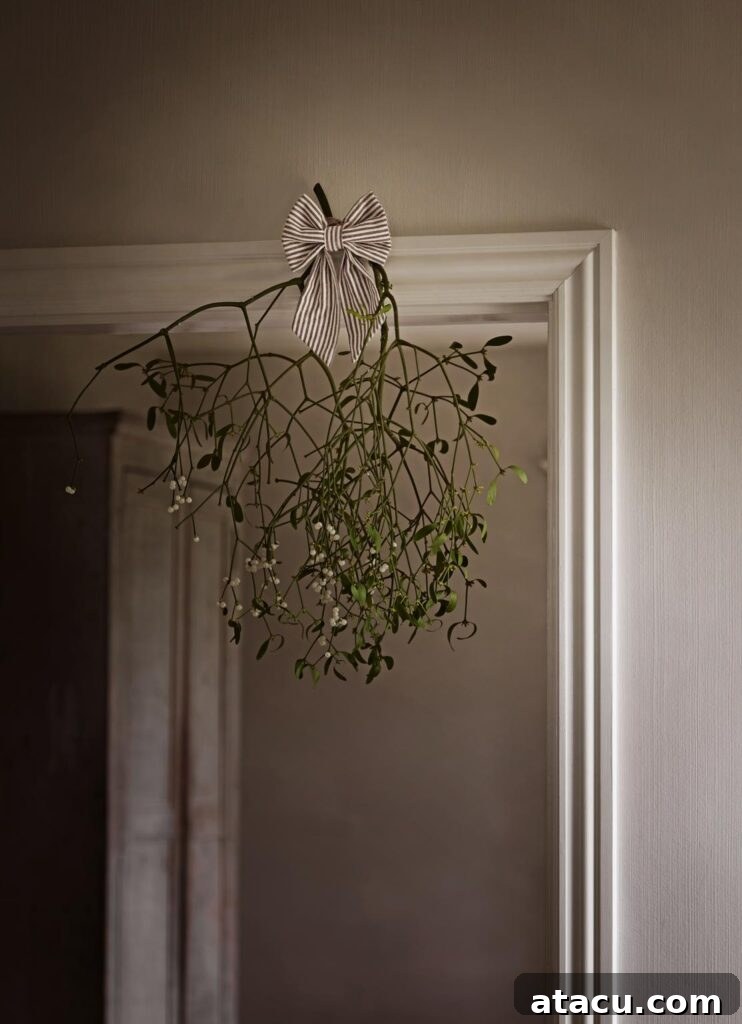 Mistletoe, a classic natural Christmas decoration, charmingly hanging above a doorway, inviting festive cheer.