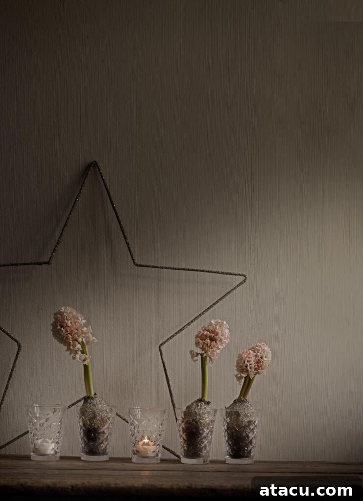 Elegant pink hyacinths nestled in glass tealight holders, with a star decoration softly blurred in the festive background.