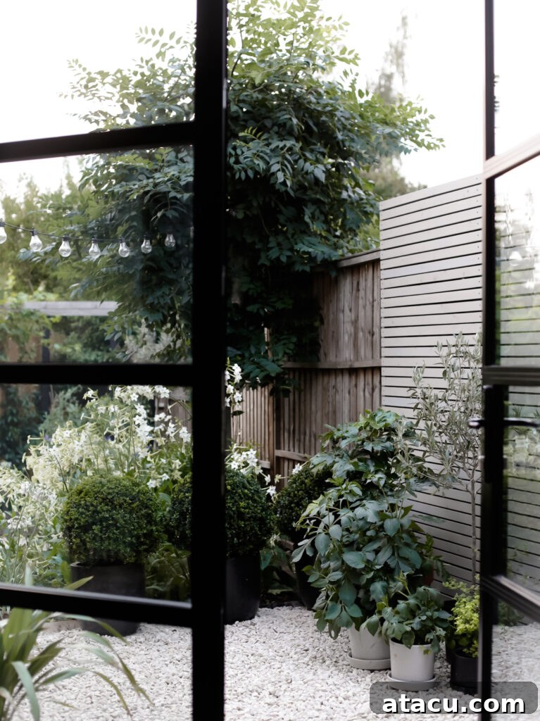 Crittall style doors opening onto a garden with white flowers and Cotswold stone gravel.