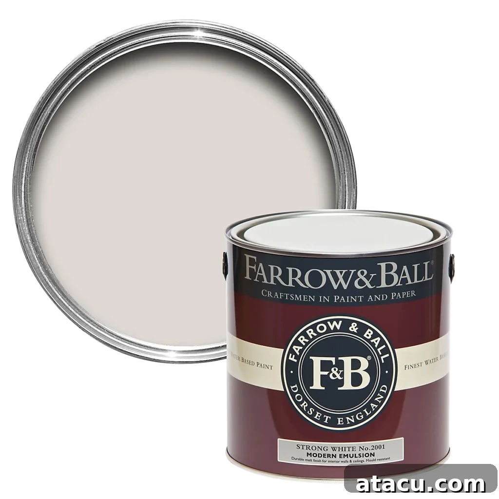 Farrow and Ball Strong White Modern Emulsion Paint Can 2.5L