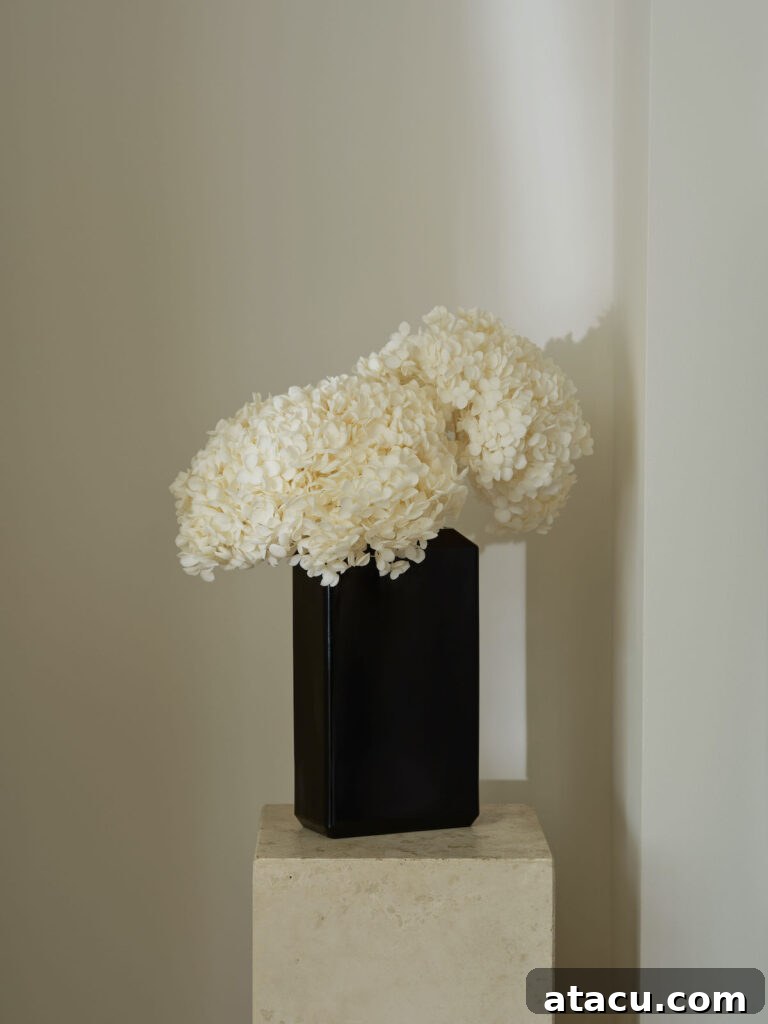 A chic dark ceramic vase elegantly filled with pristine white hydrangeas, creating a striking contrast and adding a touch of natural beauty to a modern, minimalist space.