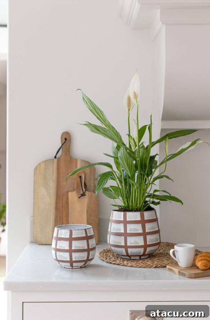 Peace lily in wax relief bowl planter.