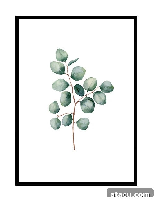 Eucalyptus botanical wall art