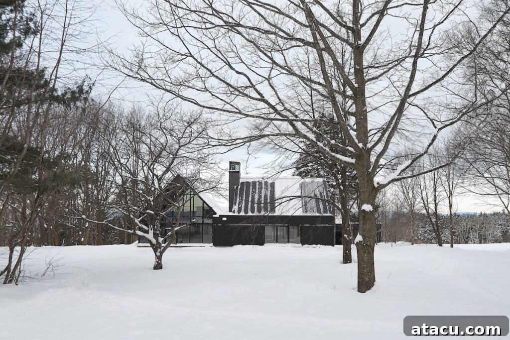 A modern black house in a snowy landscape.
