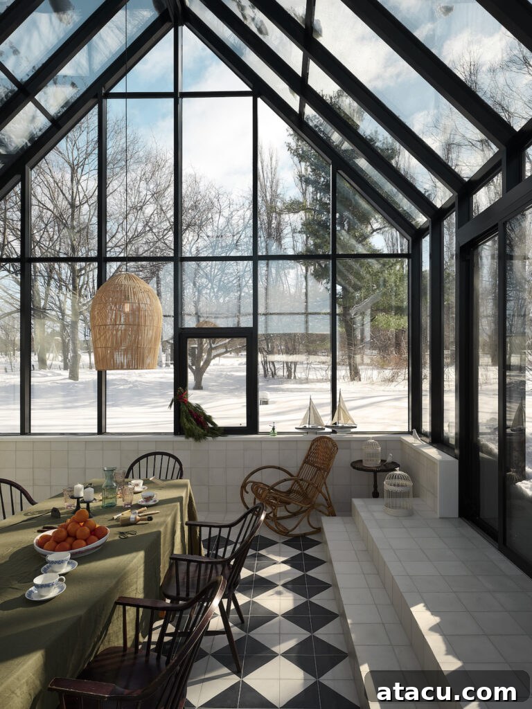 A contemporary glass orangery with a black frame.