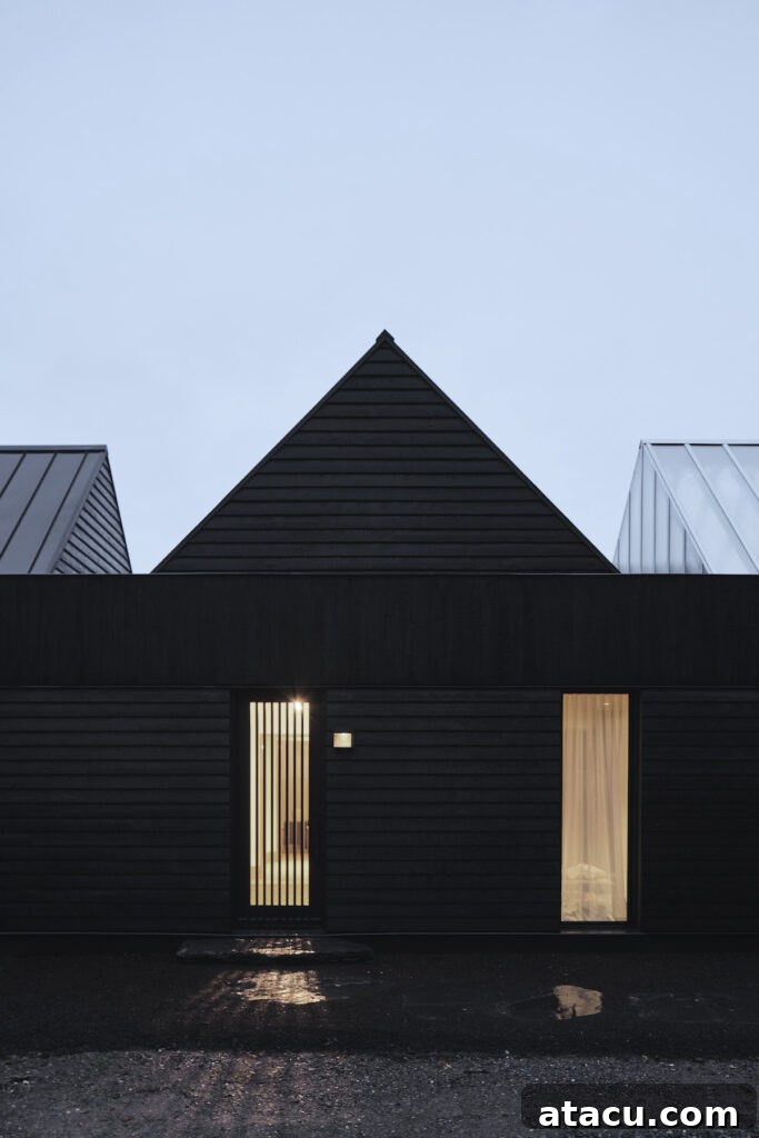Modern black architect designed house