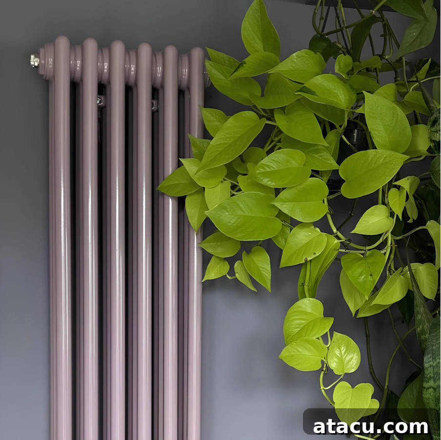 A vertical column radiator against a blue wall next to a plant.