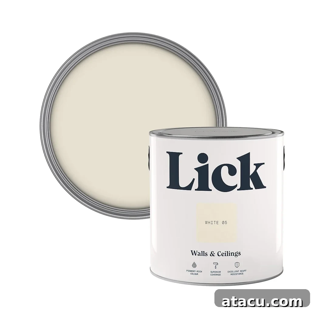 Lick White 05 Matt Paint can.