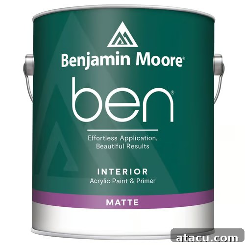 Curated Duck Egg Blue Paint Colors by Top Brands 19 Benjamin Moore Bird's Egg paint swatch, a delicate and versatile blue with a hint of green, ideal for airy, refreshing spaces.