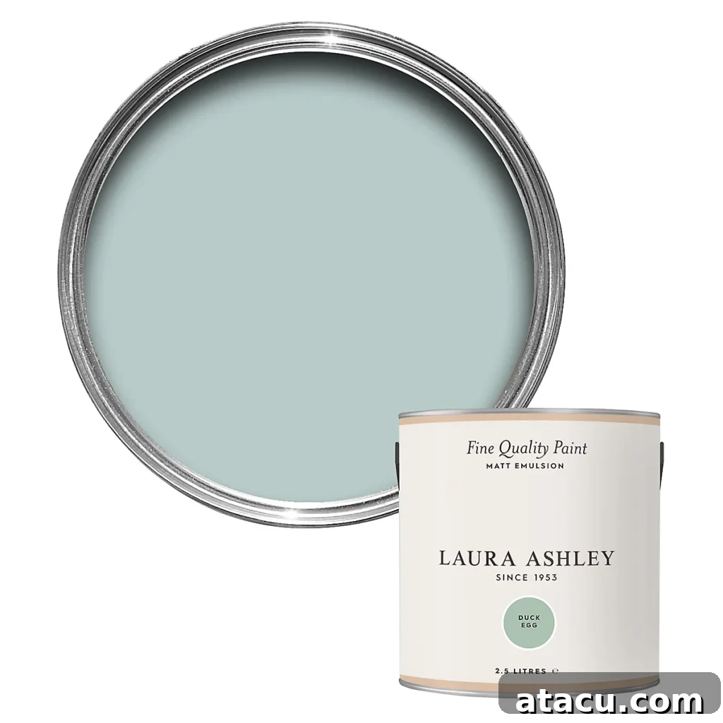 Curated Duck Egg Blue Paint Colors by Top Brands 5 Laura Ashley Duck Egg paint sample, showcasing a soft, pastel blue with vintage appeal and subtle undertones.