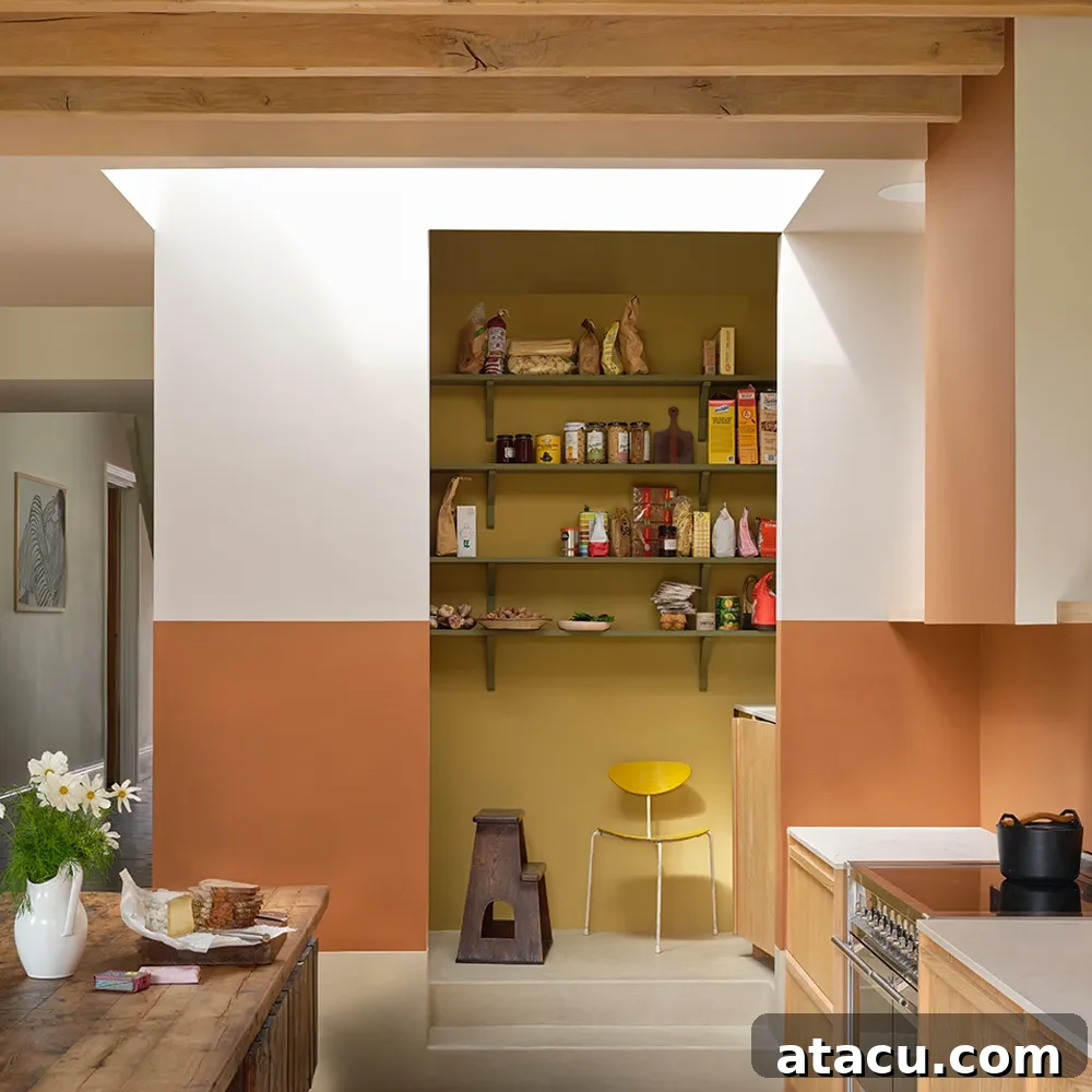 Warm-toned pantry with Farrow & Ball Marmelo and Dustcloth paint, featuring open shelving and rustic accents.