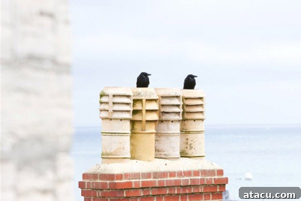 Sunroom opening onto an expansive rooftop terrace with panoramic views of Swanage and the sea.