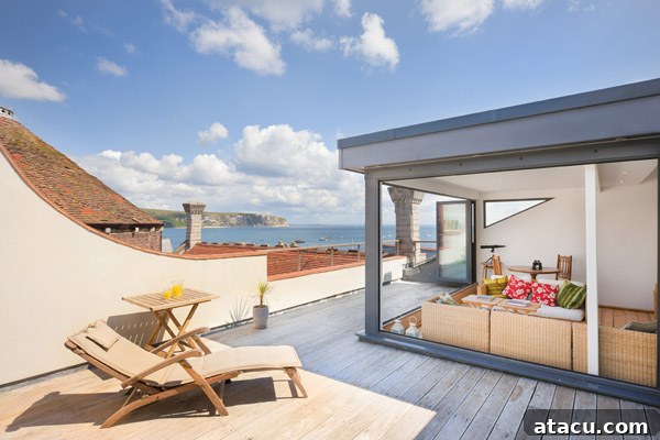 View from the rooftop terrace showing local wildlife, likely seagulls, enjoying the coastal vista.