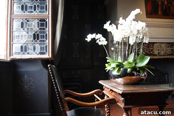 A vibrant display of flowers, possibly from Chenonceau's cutting garden, arranged with artistic flair.